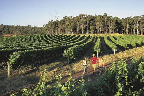 Margaret River, Caves, Wine And Cape Leeuwin Lighthouse Tour From Perth - Getaway Accommodation 1