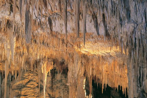 Margaret River, Caves, Wine And Cape Leeuwin Lighthouse Tour From Perth - Getaway Accommodation 3