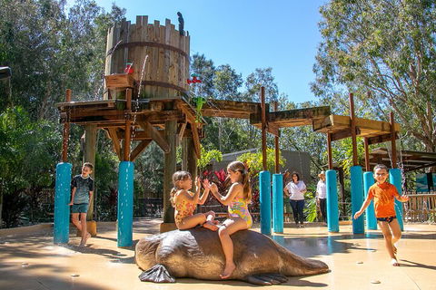Currumbin Wildlife Sanctuary General Entry Ticket - Getaway Accommodation 5