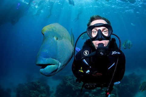 Full Day Reef Cruise Including 10 Minute Heli Scenic Flight: Get High Package - Getaway Accommodation 1