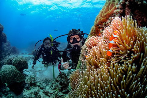 Full Day Reef Cruise Including 10 Minute Heli Scenic Flight: Get High Package - Getaway Accommodation 5