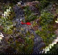 Ultimate Great Barrier Reef and Rainforest 45-minute Helicopter Tour - Getaway Accommodation