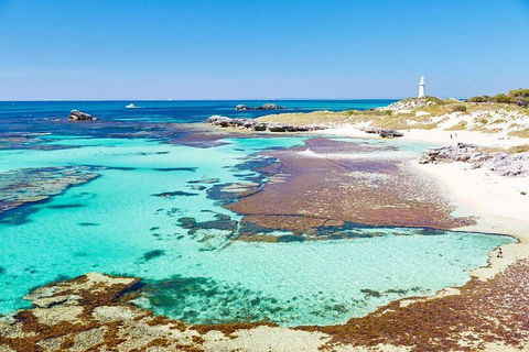 Fremantle To Rottnest Island Roundtrip Ferry Ticket - Getaway Accommodation 2