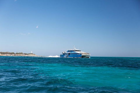 Fremantle To Rottnest Island Roundtrip Ferry Ticket - Getaway Accommodation 5