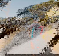 Self-Guided Point Nepean National Park Bike Hire - Getaway Accommodation