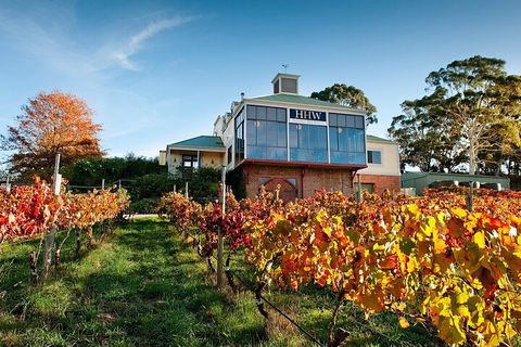 Adelaide Hills Food, Wine, Cheese, & Chocolate - Private Day Tour - Getaway Accommodation 3