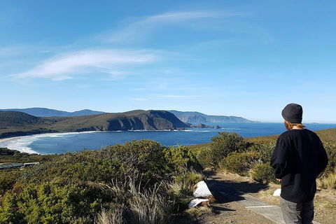 Small-Group Day Trip From Hobart To Bruny Island - Getaway Accommodation 0