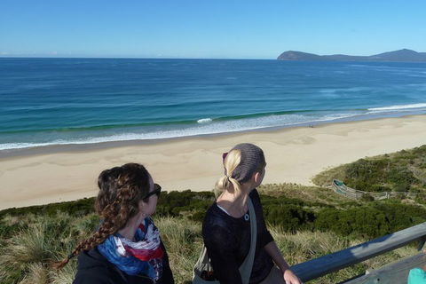 Small-Group Day Trip From Hobart To Bruny Island - Getaway Accommodation 3