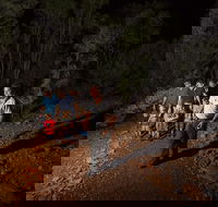 Alice Springs Desert Park Nocturnal Tour - Getaway Accommodation