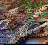 Private Tour Blue Mountains Day Trip from Sydney - Getaway Accommodation