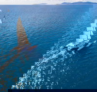 2-Night Whitsunday Islands Sailing Adventure on Trimaran Avatar - Getaway Accommodation