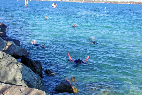 Wave Break Island Scuba Diving On The Gold Coast - Getaway Accommodation 1