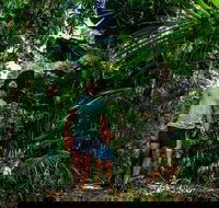 Full Day Daintree Rainforest and Mossman Gorge Tour - Getaway Accommodation