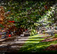 Fully Inclusive Blue Mountains Private Tour inc Scenic World  Featherdale entry - Getaway Accommodation