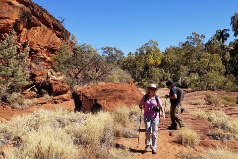 Palm Valley And Hermannsburg 1 Day 4WD Tour - Getaway Accommodation 1