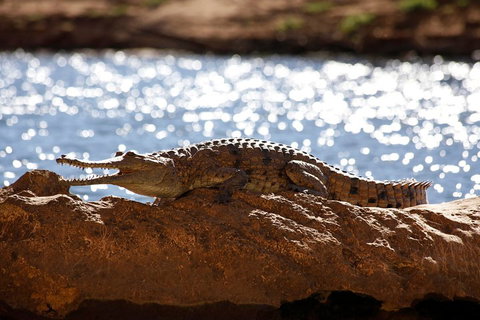 Windjana Explorer - Getaway Accommodation 5