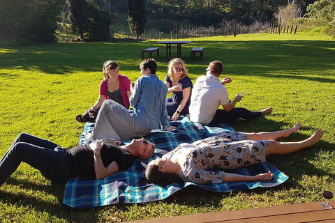 Mt Tamborine - Hinterland Wonders Self Guided - Getaway Accommodation 2