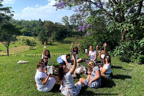 Mt Tamborine - Hinterland Wonders Self Guided - Getaway Accommodation 5