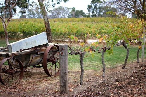 Maggie Beer Farm - Barossa Valley Regional Tour - Getaway Accommodation 1
