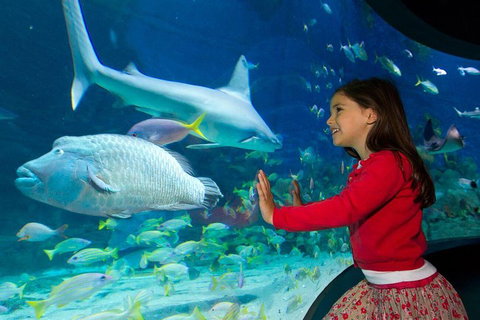 SEA LIFE Melbourne Aquarium Admission Ticket - Getaway Accommodation 1