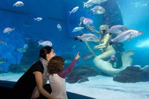 SEA LIFE Melbourne Aquarium Admission Ticket - Getaway Accommodation 4
