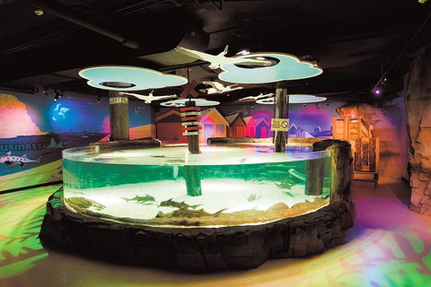 SEA LIFE Melbourne Aquarium Admission Ticket - Getaway Accommodation 5