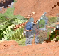 Afternoon Kata Tjuta Small Group Tour - Getaway Accommodation