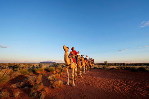 Uluru Small-Group Tour By Camel At Sunrise Or Sunset - Getaway Accommodation 3