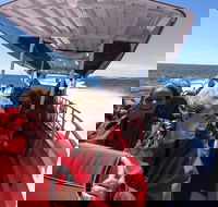 Adventure Rottnest Tour with Ferry  Adventure Cruise from Perth or Fremantle - Getaway Accommodation