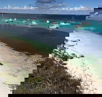 Experience Rottnest with Ferry  Bike Hire from Perth or Fremantle - Getaway Accommodation