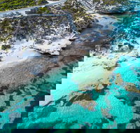 Rottnest Island Round-Trip Ferry from Perth or Fremantle - Getaway Accommodation