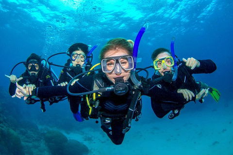 Great Barrier Reef Diving And Snorkeling Cruise From Cairns - Getaway Accommodation 0