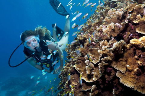Great Barrier Reef Diving And Snorkeling Cruise From Cairns - Getaway Accommodation 1