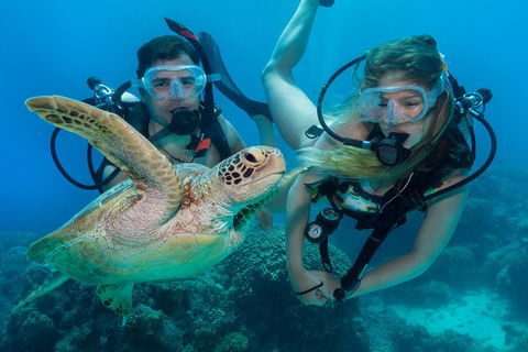 Great Barrier Reef Diving And Snorkeling Cruise From Cairns - Getaway Accommodation 4