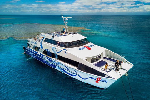 Great Barrier Reef Diving And Snorkeling Cruise From Cairns - Getaway Accommodation 5