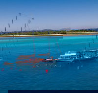 Ocean Free Green Island  Great Barrier Reef Snorkel Cruise Cairns 25 guests - Getaway Accommodation