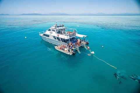 Ocean Freedom Great Barrier Reef Personal Luxury Snorkel & Dive Cruise, Cairns - Getaway Accommodation 0