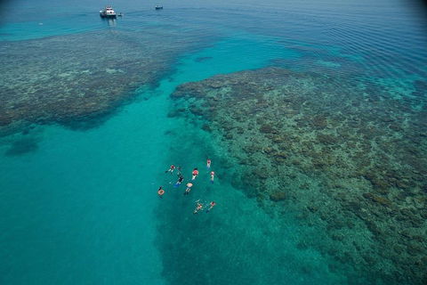 Ocean Freedom Great Barrier Reef Personal Luxury Snorkel & Dive Cruise, Cairns - Getaway Accommodation 3