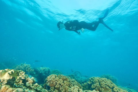 Ocean Freedom Great Barrier Reef Personal Luxury Snorkel & Dive Cruise, Cairns - Getaway Accommodation 5