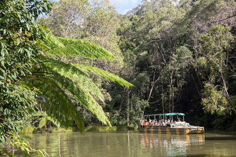 Best Of Kuranda Including Skyrail, Kuranda Scenic Railway And Rainforestation - Getaway Accommodation 5
