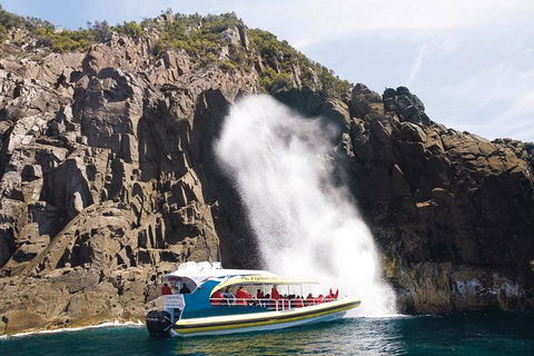 Full-Day Bruny Island Cruises Day Tour From Hobart - Getaway Accommodation 4