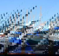 One Day Port Lincoln Tour - Tasting Eyre - Getaway Accommodation