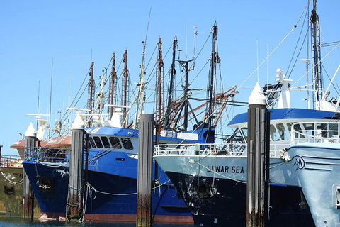 One Day Port Lincoln Tour - Tasting Eyre - Getaway Accommodation 0