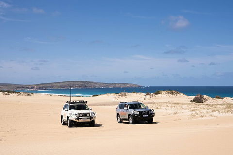 3 Day Port Lincoln And Coffin Bay Private Tour - Getaway Accommodation 0
