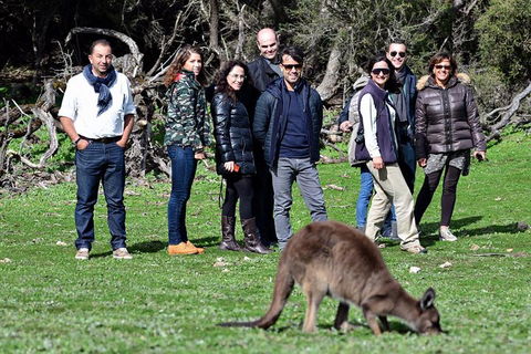 2-Day Kangaroo Island 4WD Small-Group Tour From Adelaide - Getaway Accommodation 1
