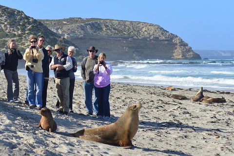 2-Day Kangaroo Island 4WD Small-Group Tour From Adelaide - Getaway Accommodation 3