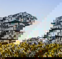 Small Group McLaren Vale and The Cube Experience - Getaway Accommodation