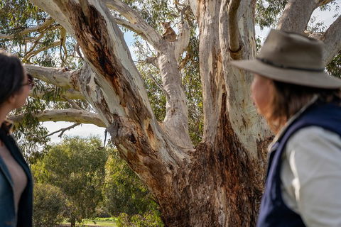 NEW TOUR - Kangaroo Island Road To Recovery Tour (1 Day/1 Night) - Getaway Accommodation 0