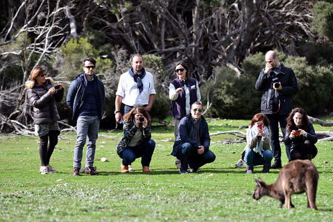 Small-Group Kangaroo Island 4WD Tour From Adelaide - Getaway Accommodation 2