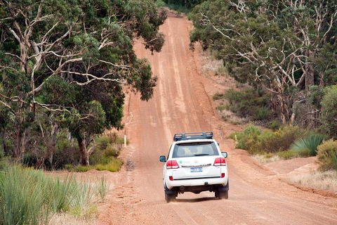Small-Group Kangaroo Island 4WD Tour From Adelaide - Getaway Accommodation 3